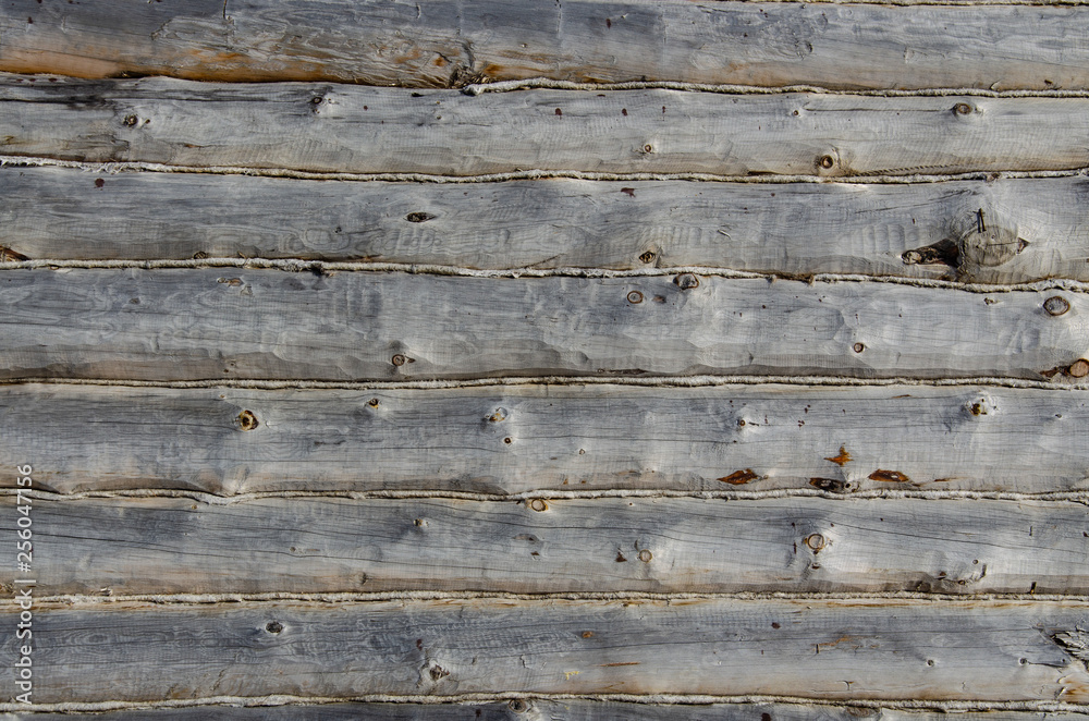 hand-processed logs with hemp. Felling Gray. Background. hand-processed logs with hemp. Felling Gray. Background.