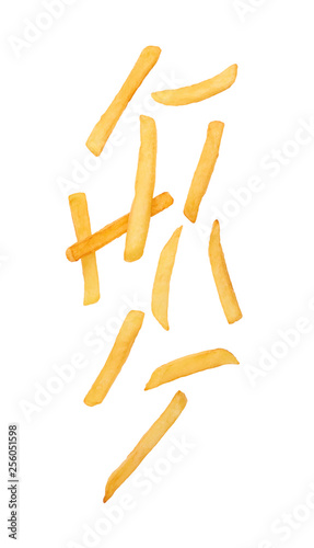 french fries on white