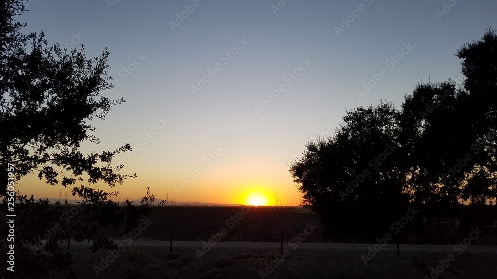 Multicolored sunset with silhouette of trees over field Multicolored sunset with silhouette of trees over field
