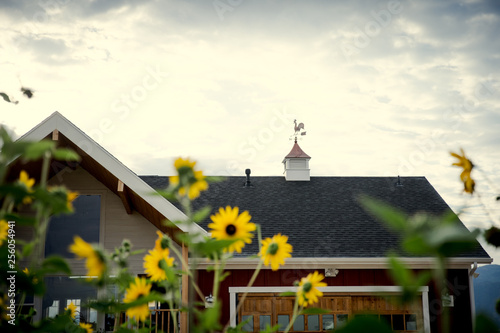 Weathervane on a roof