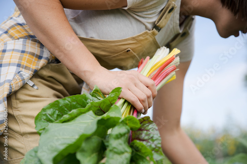 Woman farmer holding a bunch of rainbow chard