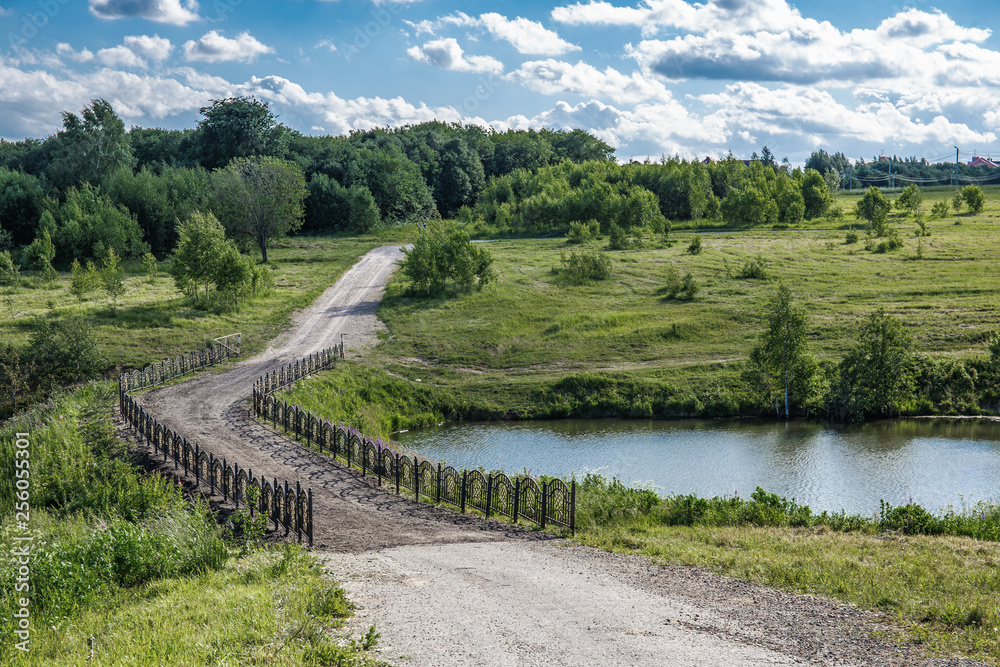 Bridge over the pond