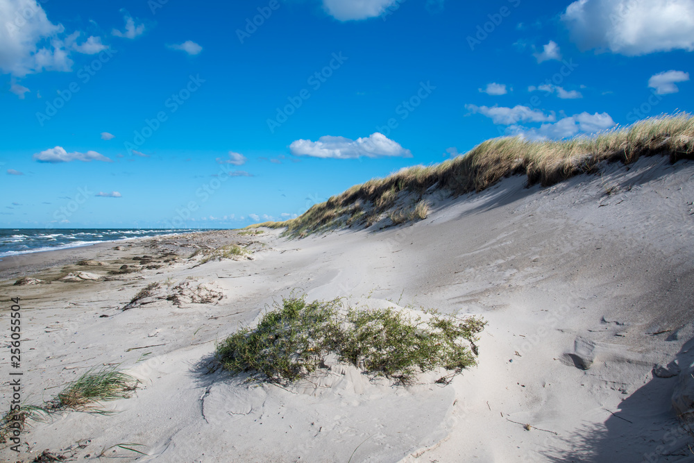 Dünenlandschaft am Darßer Ort Dünenlandschaft am Darßer Ort