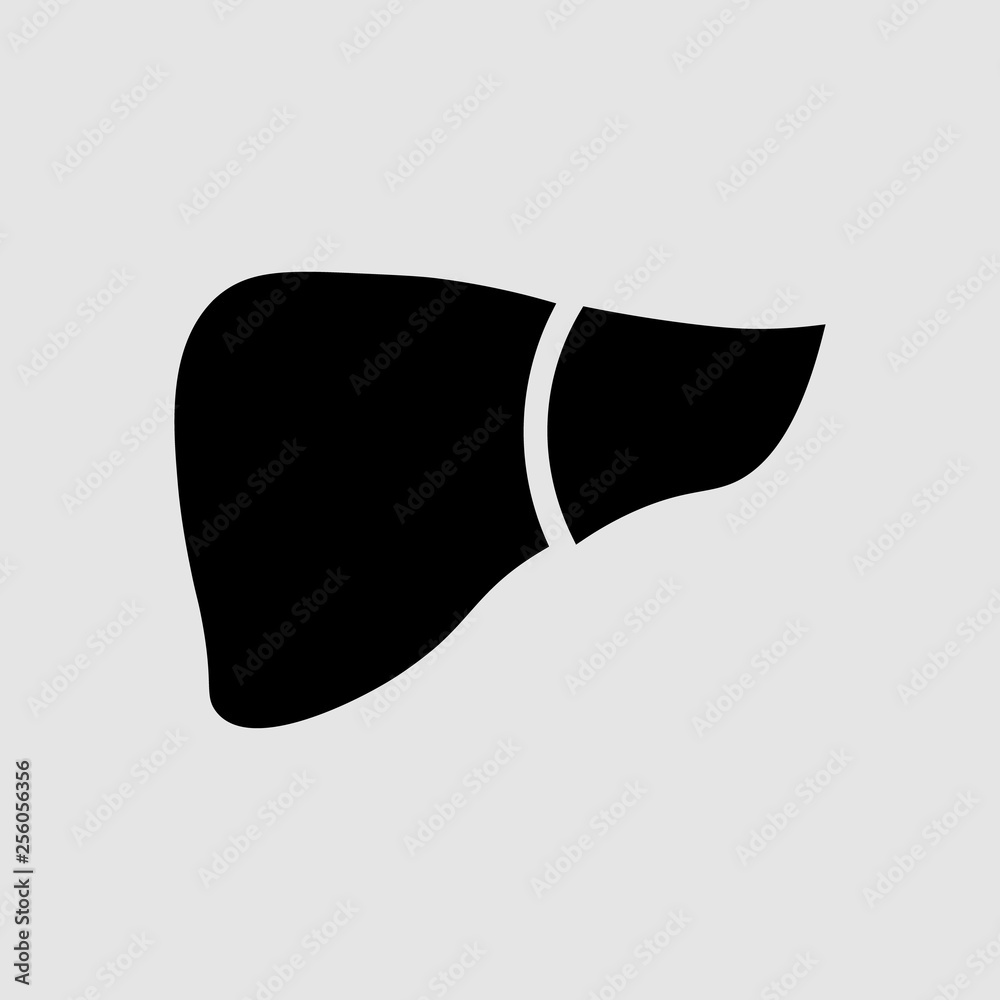 Medical illustration of the liver and liver disease Medical illustration of the liver and liver disease