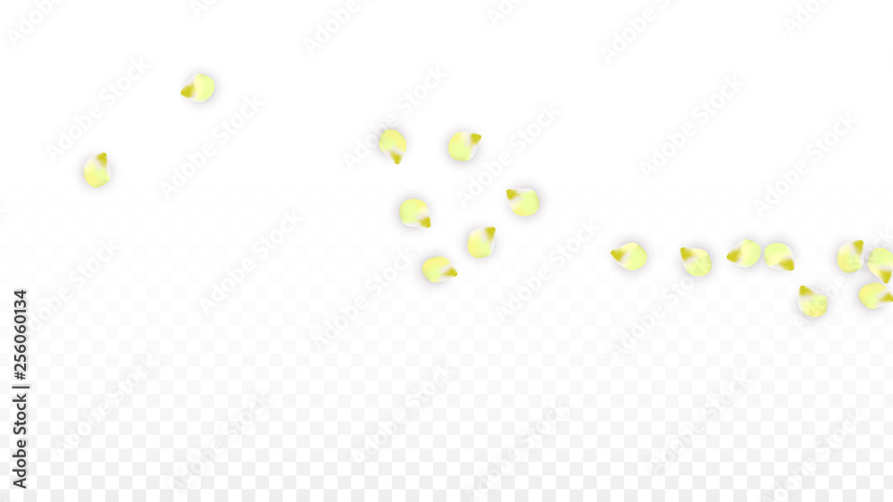 Vector Realistic Pink Petals Falling on Transparent Background. Spring Romantic Flowers Illustration. Flying Petals. Sakura Spa Design. Blossom Confetti. Vector Realistic Pink Petals Falling on Transparent Background. Spring Romantic Flowers Illustration. Flying Petals. Sakura Spa Design. Blossom Confetti.