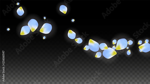 Vector Realistic Blue Petals Falling on Transparent Background.  Spring Romantic Flowers Illustration. Flying Petals. Sakura Spa Design. Blossom Confetti.