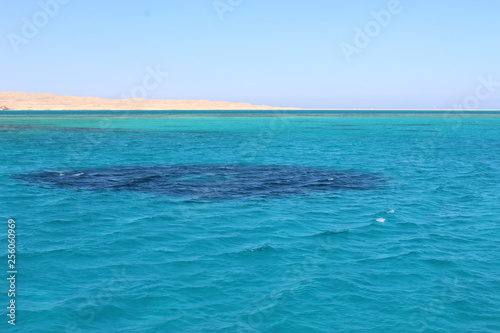 sea and blue sky