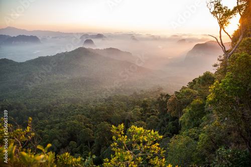 Sunrise morning view over a green tropical forest