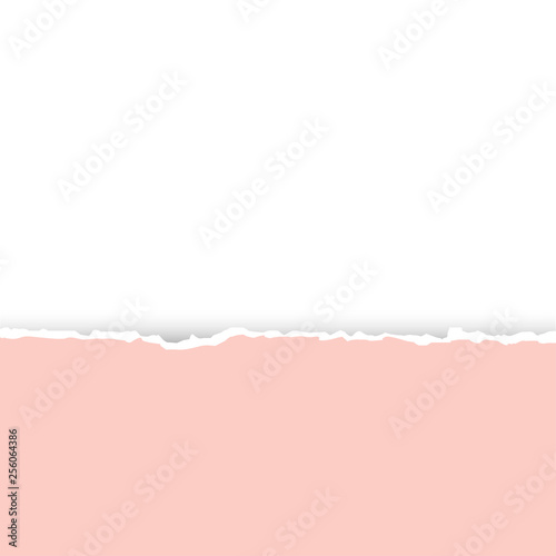 Pastel pink  texture of torn paper. Preparation for an inscription, a cover, registration, design, banners.Torn paper with copy space for your text.