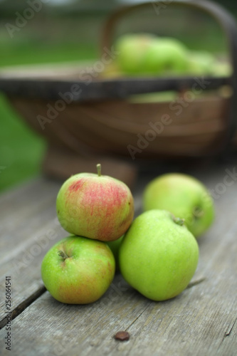 apples