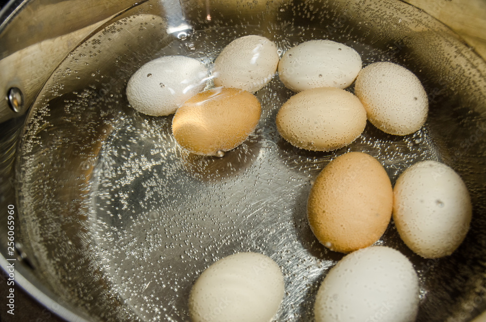 boiling eggs in hot water in the pot boiling eggs in hot water in the pot