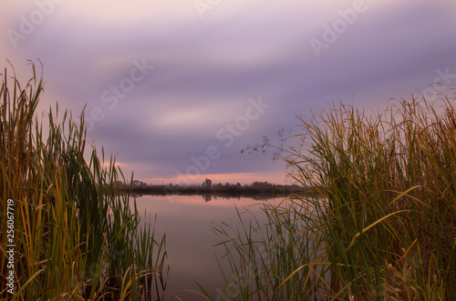 View of the lake from behind the reeds. Sunrise behind the reeds.