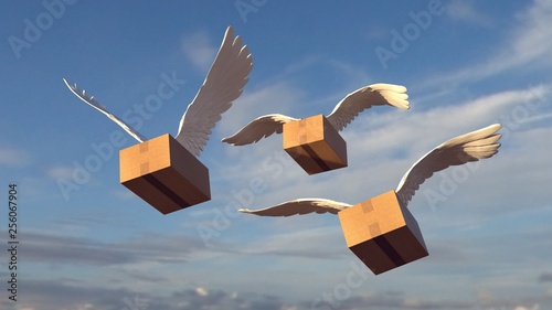 We send it to you everywhere flying. Package with wings. photo
