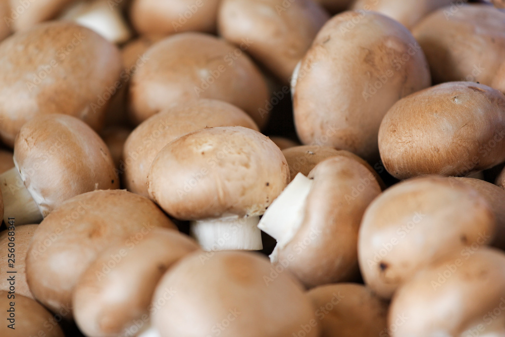 Common brown champignon mushroom sold on the market