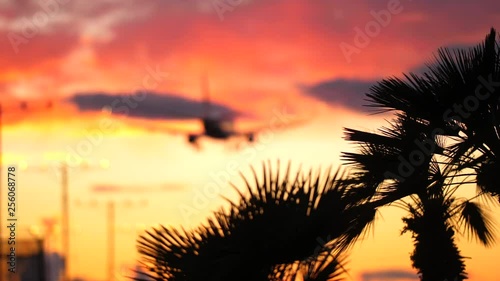 Palm trees on a tropical island. Small private jet airplane landing in the background