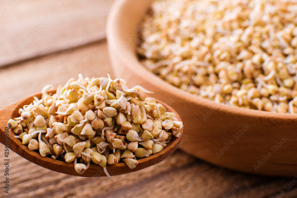 fresh green sprouts buckwheat in wooden bowl closeup fresh green sprouts buckwheat in wooden bowl closeup