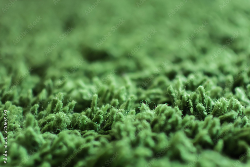 Green carpet texture grass close up Green carpet texture grass close up