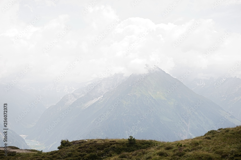 Fototapeta premium Half Dome Rock Landscape Meadow in Austria