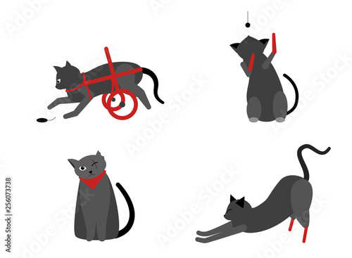 Collection of cute cats with disabilities. A bunch of happy pets or pets with artificial legs or artificial legs. Colorful vector illustration in flat cartoon style. On a white background