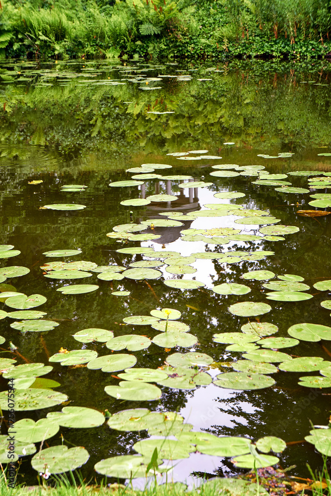 Pavilion is reflected in the canal between the water lilies.