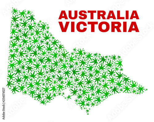 Vector marijuana Australian Victoria map mosaic. Template with green weed leaves for cannabis legalize campaign. Vector Australian Victoria map is created with marijuana leaves.