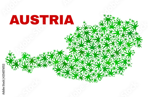 Vector cannabis Austria map mosaic. Concept with green weed leaves for weed legalize campaign. Vector Austria map is organized with cannabis leaves.