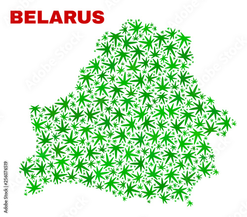Vector cannabis Belarus map collage. Concept with green weed leaves for weed legalize campaign. Vector Belarus map is designed of weed leaves.