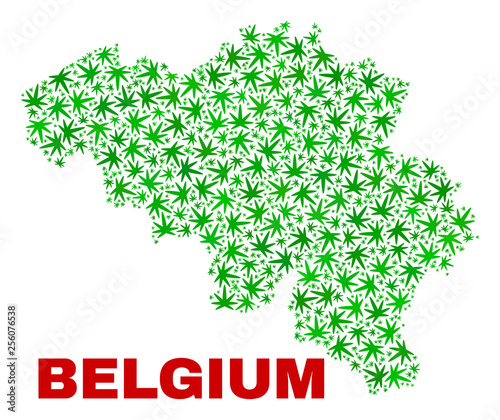 Vector cannabis Belgium map mosaic. Concept with green weed leaves for cannabis legalize campaign. Vector Belgium map is constructed with cannabis leaves.