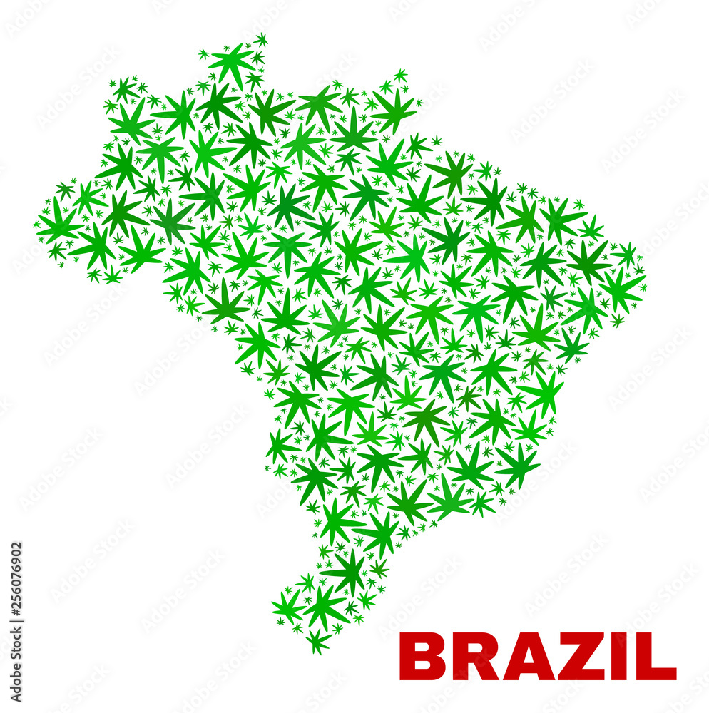 Vector marijuana Brazil map mosaic. Template with green weed leaves for marijuana legalize campaign. Vector Brazil map is constructed from weed leaves. Vector marijuana Brazil map mosaic. Template with green weed leaves for marijuana legalize campaign. Vector Brazil map is constructed from weed leaves.