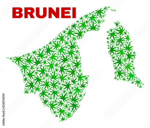 Vector cannabis Brunei map mosaic. Template with green weed leaves for hemp legalize campaign. Vector Brunei map is organized with weed leaves.