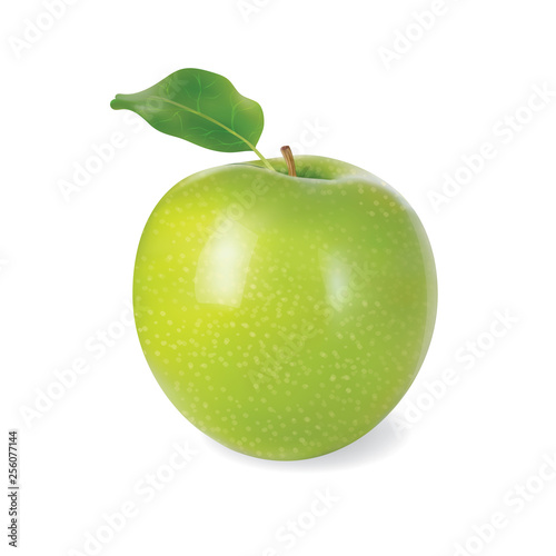 Green apple is vegetarian a meal. Fruit for healthe and diet. Detailed Stock vector illustration in realistic style.
