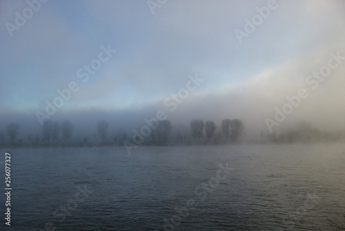 Rheinufer im Nebel