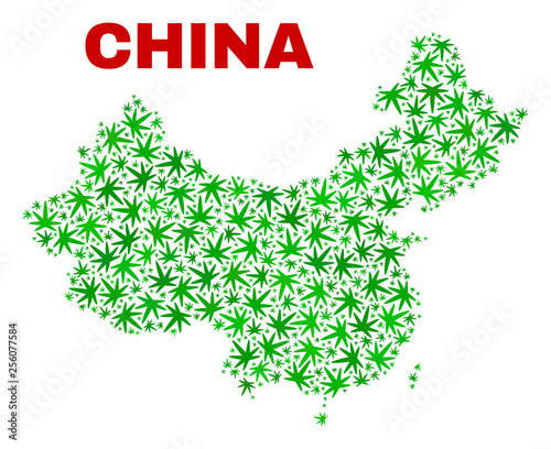Vector cannabis China map mosaic. Concept with green weed leaves for cannabis legalize campaign. Vector China map is created with weed leaves.