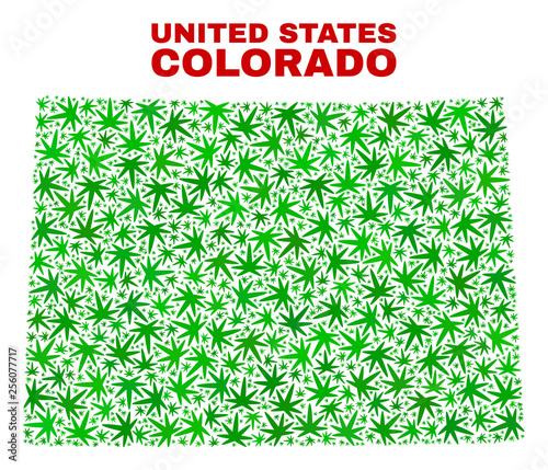 Vector marijuana Colorado State map mosaic. Template with green weed leaves for marijuana legalize campaign. Vector Colorado State map is created with marijuana leaves.