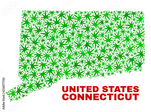 Vector marijuana Connecticut State map collage. Concept with green weed leaves for marijuana legalize campaign. Vector Connecticut State map is organized from marijuana leaves.