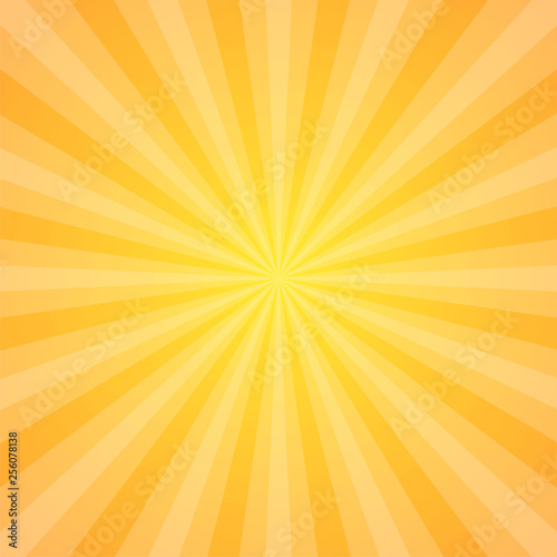 Sun rays vector illustration. Rays background. Sun ray theme abstract wallpaper. Design elements in vintage style. Web banner. Vector illustration.