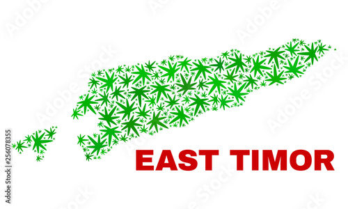 Vector cannabis East Timor map mosaic. Template with green weed leaves for cannabis legalize campaign. Vector East Timor map is designed with weed leaves.