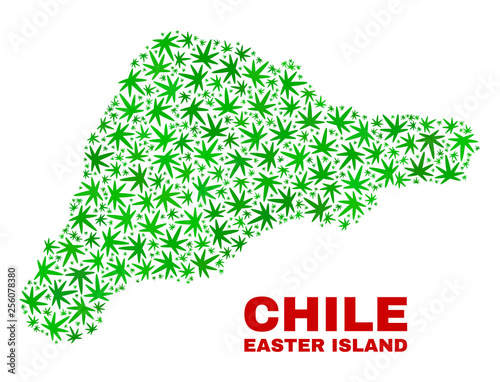 Vector marijuana Easter Island map mosaic. Template with green weed leaves for weed legalize campaign. Vector Easter Island map is constructed with cannabis leaves.