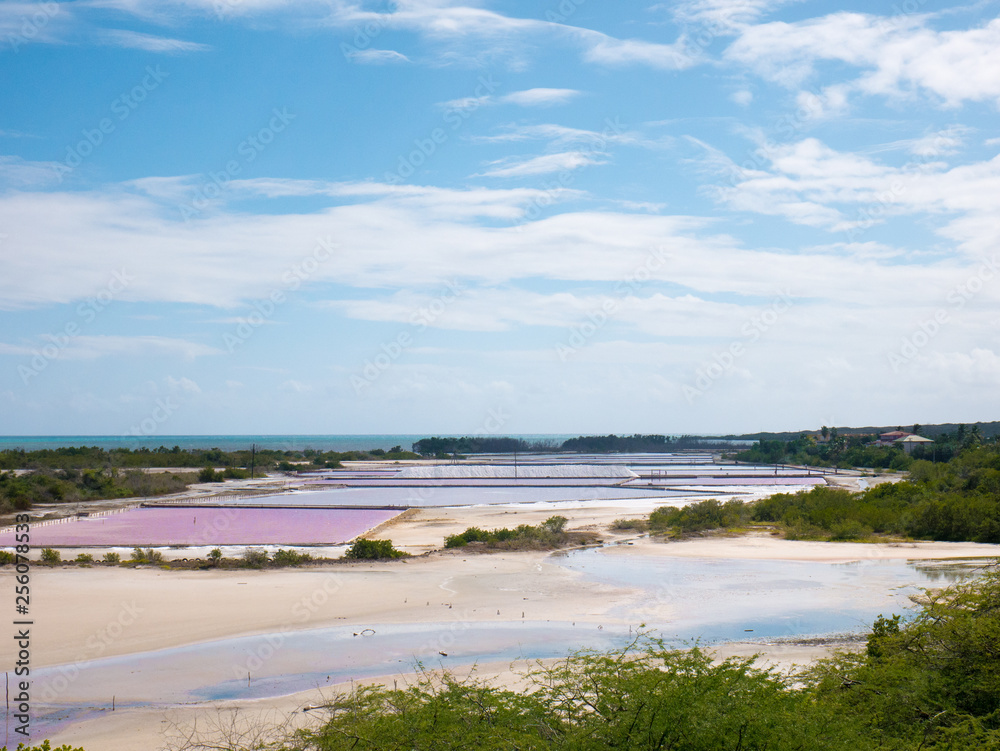 In Puerto Rico's southwest corner, Cabo Rojo, tons of salt are extracted from seawater annually In Puerto Rico's southwest corner, Cabo Rojo, tons of salt are extracted from seawater annually