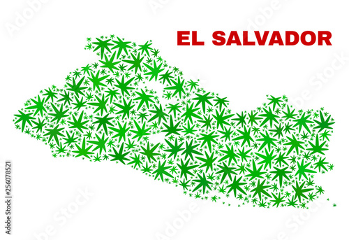 Vector cannabis El Salvador map collage. Template with green weed leaves for cannabis legalize campaign. Vector El Salvador map is formed with cannabis leaves.