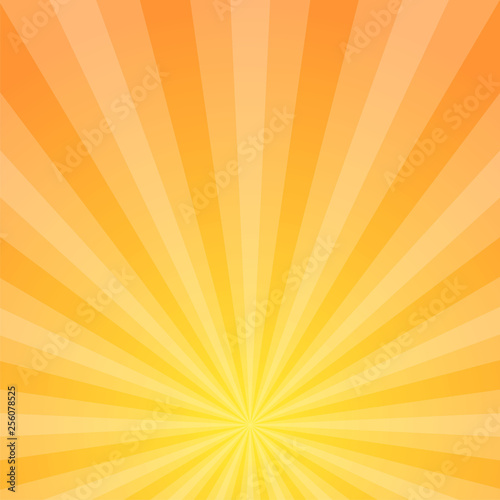 Sun rays vector illustration. Rays background. Sun ray theme abstract wallpaper. Design elements in vintage style. Web banner. Vector illustration.