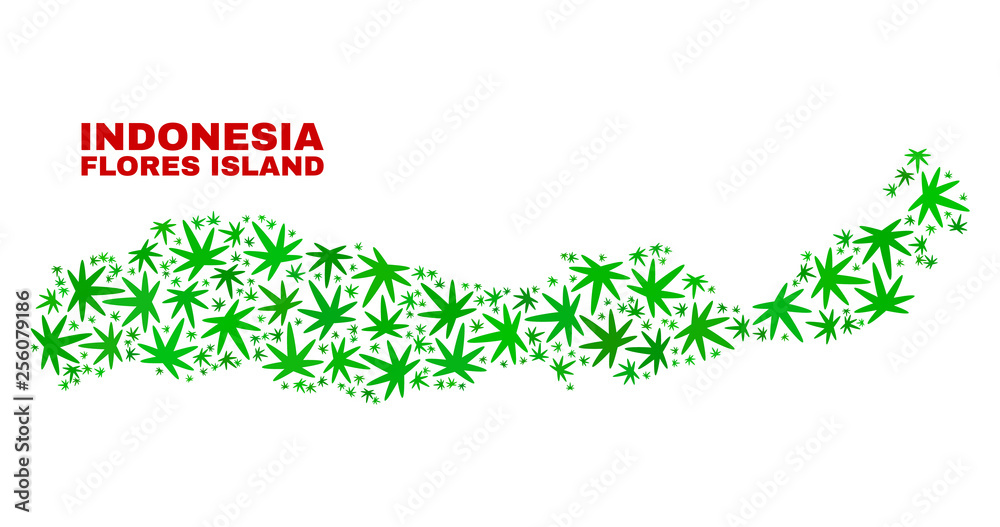 Vector marijuana Flores Island of Indonesia map mosaic. Concept with green weed leaves for weed legalize campaign. Vector Flores Island of Indonesia map is constructed with weed leaves. Vector marijuana Flores Island of Indonesia map mosaic. Concept with green weed leaves for weed legalize campaign. Vector Flores Island of Indonesia map is constructed with weed leaves.