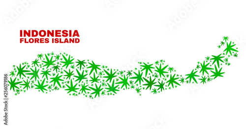 Vector marijuana Flores Island of Indonesia map mosaic. Concept with green weed leaves for weed legalize campaign. Vector Flores Island of Indonesia map is constructed with weed leaves.