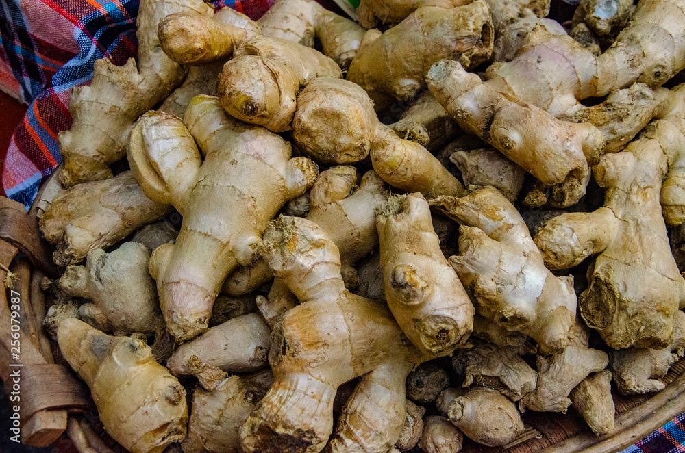 ginger