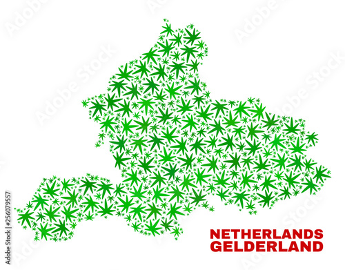 Vector marijuana Gelderland Province map collage. Template with green weed leaves for marijuana legalize campaign. Vector Gelderland Province map is organized with weed leaves.