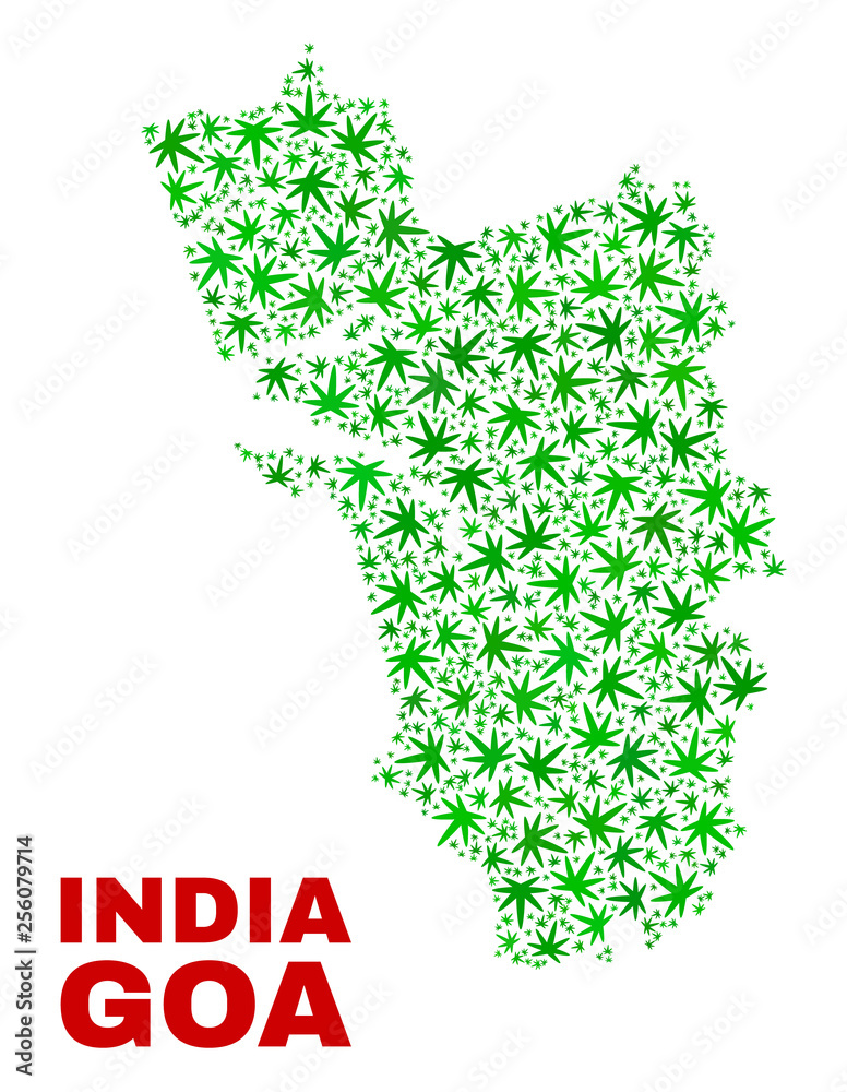 Vector cannabis Goa State map collage. Concept with green weed leaves for cannabis legalize campaign. Vector Goa State map is composed with cannabis leaves. Vector cannabis Goa State map collage. Concept with green weed leaves for cannabis legalize campaign. Vector Goa State map is composed with cannabis leaves.