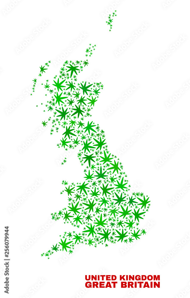 Vector marijuana Great Britain map mosaic. Template with green weed leaves for weed legalize campaign. Vector Great Britain map is composed with ganja leaves. Vector marijuana Great Britain map mosaic. Template with green weed leaves for weed legalize campaign. Vector Great Britain map is composed with ganja leaves.