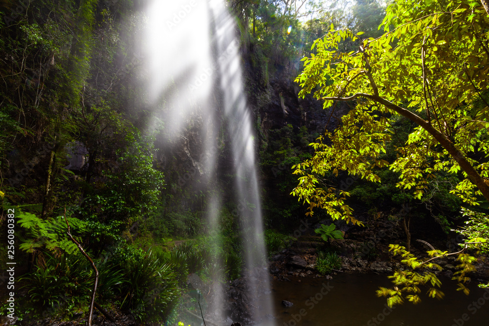 Twin falls and sunshine in Springbrook National Park rainforest. Queensland, Australia