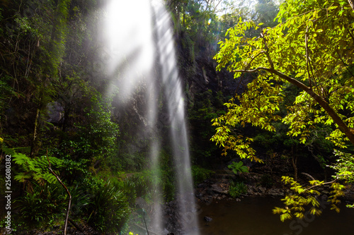 Twin falls and sunshine in Springbrook National Park rainforest. Queensland  Australia