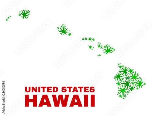 Vector marijuana Hawaii State map collage. Concept with green weed leaves for weed legalize campaign. Vector Hawaii State map is organized of marijuana leaves.